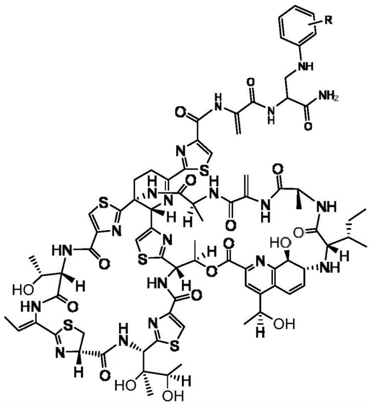General chemical structure of Thiostrepton derivatives showing the variable R group position
