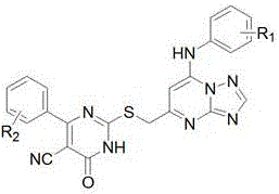 General chemical structure of thiouracil-containing 1,2,4-triazolo[1,5-a]pyrimidine compounds showing variable substituents R1 and R2