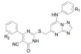 General chemical structure of thiouracil-containing 1,2,4-triazolo[1,5-a]pyrimidine compounds showing variable substituents R1 and R2