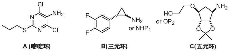 Structural breakdown of Ticagrelor into three key intermediates: the pyrimidine ring (A), the cyclopropyl amine (B), and the cyclopentyl glycol (C)