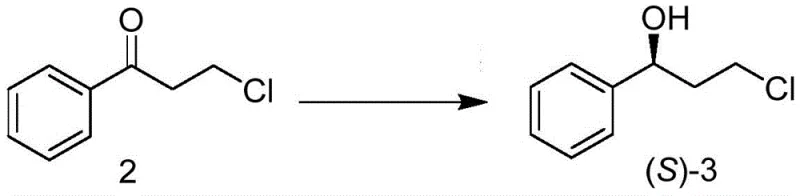 Key enzymatic reduction step converting 3-chloropropiophenone to S-3-chlorophenylpropanol with high ee