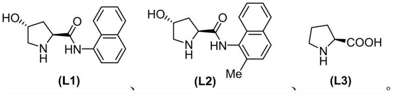 Structures of Ligands L1, L2, and L3 used to optimize the copper catalytic cycle