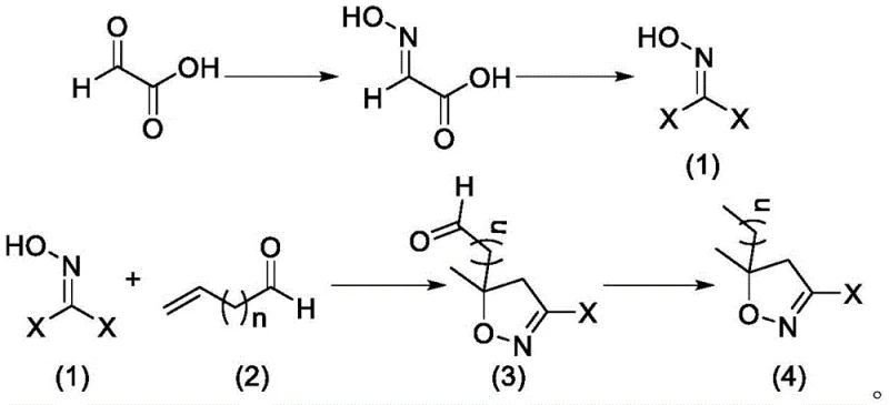 General reaction scheme showing glyoxylic acid conversion to 3-halogenated-5,5-dimethylisoxazole