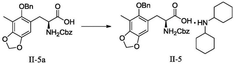Specific reaction scheme for Example 1 showing the conversion of II-5a to II-5 using dicyclohexylamine