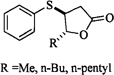 General chemical structure of trans-3-thiophenyl-gamma-lactone derivatives with variable R groups