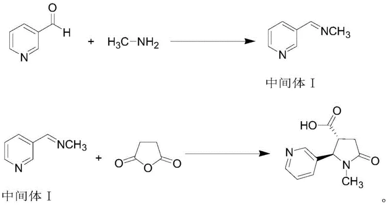 Reaction scheme showing the two-step synthesis of trans-4-carboxycotinine via eneimine intermediate and succinic anhydride cyclization
