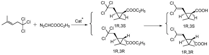Ruthenium-catalyzed asymmetric cyclopropanation reaction scheme showing conversion of two-methyl-five five five-trichloro-two-pentene and ethyl diazoacetate into chiral ester intermediates followed by hydrolysis to trans-D-chrysanthemic acid
