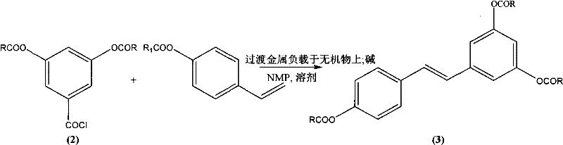 General formula for the ligand-free Heck cross-coupling reaction