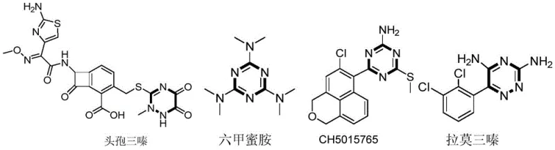 General reaction scheme showing the synthesis of 1,4,6-tri-substituted 1,2-dihydro-1,3,5-triazines from aromatic amidines and amine carbon sources