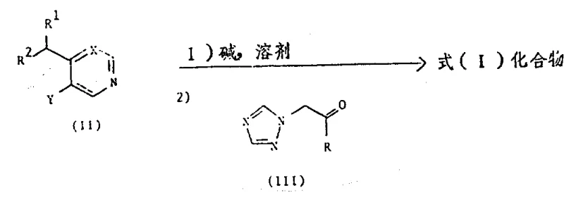 Reaction Scheme 1 showing the general synthesis of Formula I compounds via lithiation and ketone addition