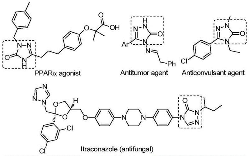 Biological activities of 1,2,4-triazole-3-one compounds including PPAR alpha agonist and antitumor agents
