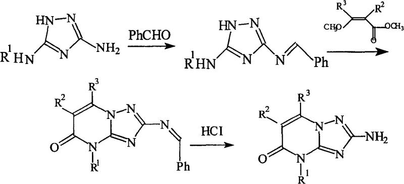General reaction scheme showing the conversion of triazole diamine to triazole pyrimidine via imine and cyclization intermediates