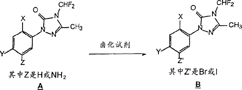 Reaction scheme showing halogenation of triazolone intermediate A to intermediate B