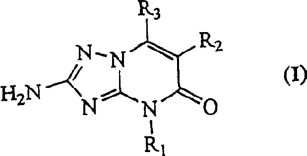 General chemical structure of the triazolo pyrimidine derivative (Formula I)