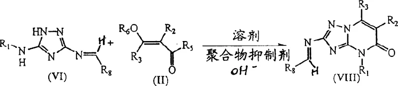 Detailed reaction equation for the selective condensation step forming the triazolo pyrimidine skeleton