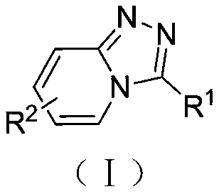 General structural formula of [1,2,4]-triazolo[4,3-a]pyridine compounds showing variable R1 and R2 substituents