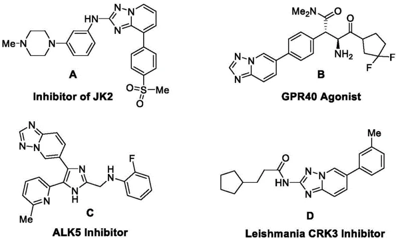 Bioactive molecules containing the triazolopyridine scaffold including JK2 inhibitors and GPR40 agonists