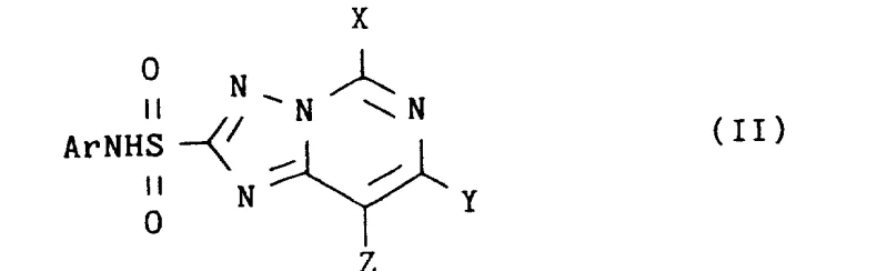 General structures of N-aryl-1,2,4-triazolo-pyrimidine-2-sulfonamides (Formula I and II)