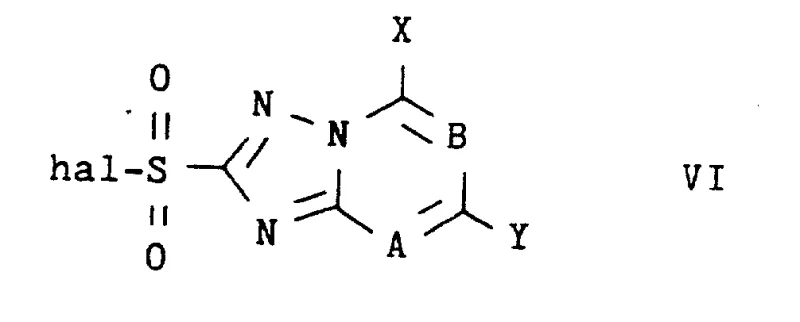 Structure of substituted 1,2,4-triazolo-pyrimidine-2-alkylsulfonyl halide reactant (Formula VI)