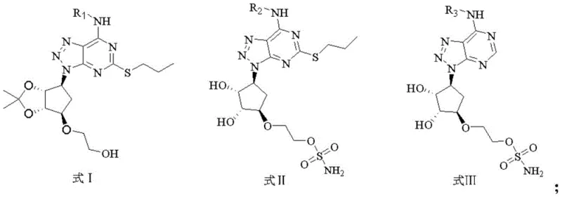 General chemical structures of triazolopyrimidine derivatives Formula I, II, and III