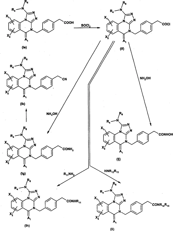 Synthetic Route 6 showing derivatization of carboxylic acid side chains to amides and esters