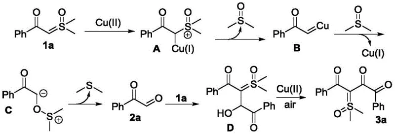 Proposed catalytic cycle mechanism involving copper intermediates and oxidation steps