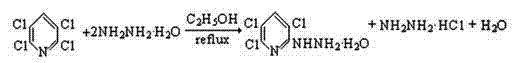 Reaction scheme showing the hydrazinolysis of 2,3,5,6-tetrachloropyridine to form trichlorohydrazinopyridine hydrate