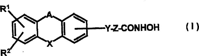 General chemical structure of Formula I tricyclic alkylhydroxamates showing variable substituents R1, R2, A, X, Y, Z