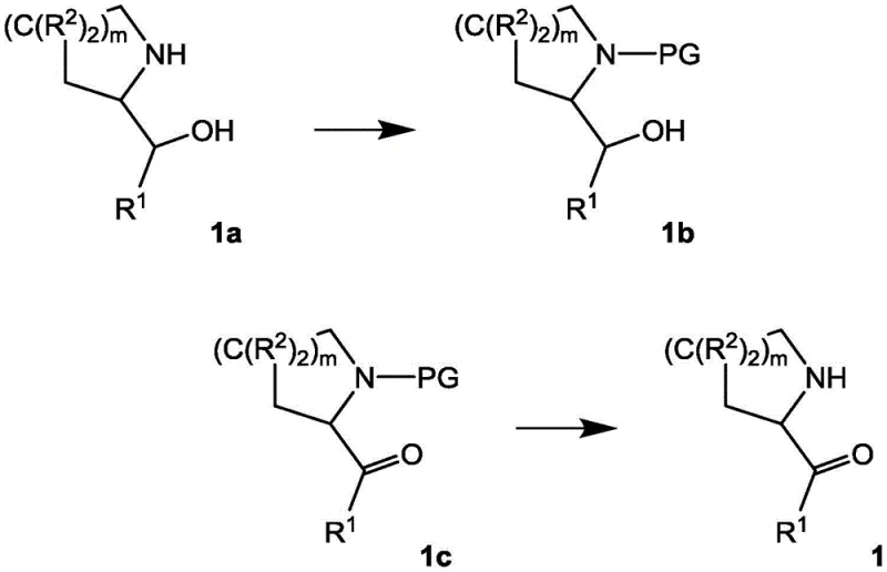 Synthesis scheme of Intermediate 1 showing protection and oxidation steps