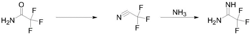 General reaction scheme showing catalytic dehydration of trifluoroacetamide to trifluoroacetonitrile followed by ammonolysis to trifluoroacetamidine