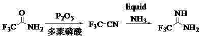 Reaction scheme showing the dehydration of trifluoroacetamide to trifluoroacetonitrile and subsequent reaction with liquid ammonia