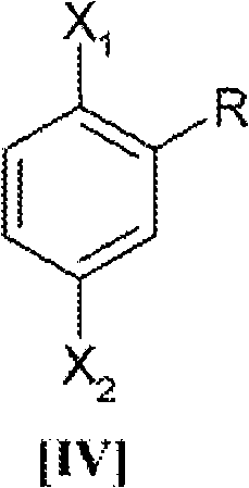 General formula of 2,5-dihalotoluene starting material (Compound IV)