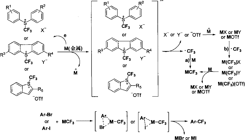 Proposed reaction mechanism involving metal reduction and radical formation