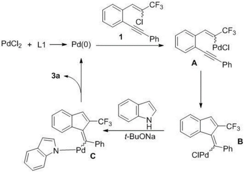 Proposed catalytic cycle mechanism showing oxidative addition, carbopalladation, and reductive elimination steps