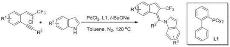 Specific example reaction conditions and substrate variations for the synthesis