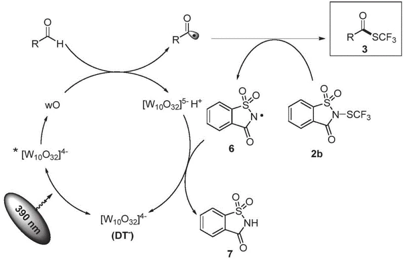 Detailed catalytic cycle mechanism showing NaDT excitation HAT and radical transfer steps