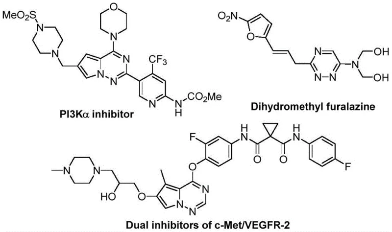 Examples of bioactive molecules containing triazine scaffolds illustrating pharmaceutical applications
