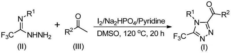 Specific experimental procedure scheme for the synthesis of triazole compounds