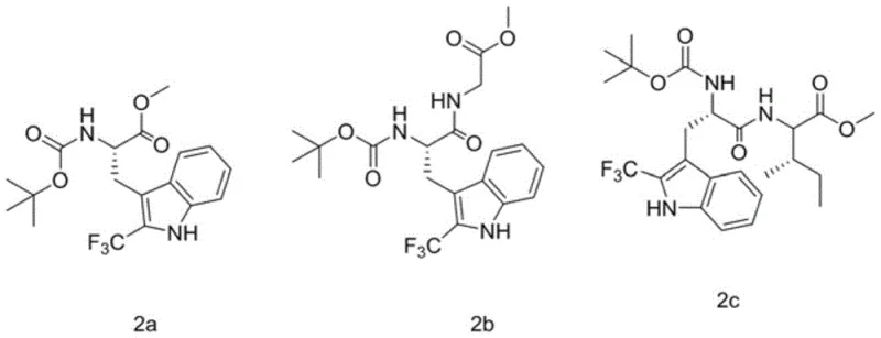 Chemical structures of specific trifluoromethylated peptide examples 2a, 2b, and 2c