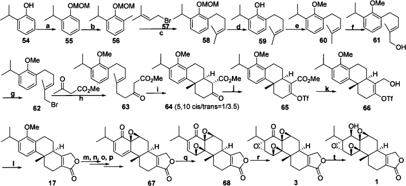 Prior art synthetic route by Yang Dan showing complex multi-step sequence with low yields