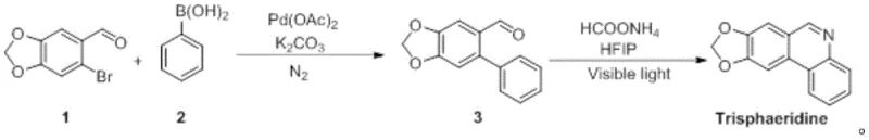 Reaction scheme showing Suzuki coupling followed by visible-light photocyclization to form Trisphaeridine