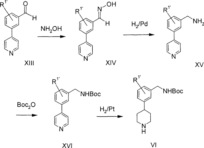 Synthesis pathway for piperidine intermediate via oxime hydrogenation and Boc protection