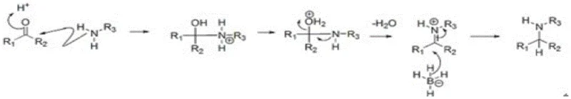 Mechanism of reductive amination showing imine formation and selective reduction