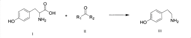 General reaction scheme of tyrosine decarboxylation catalyzed by saturated ketones