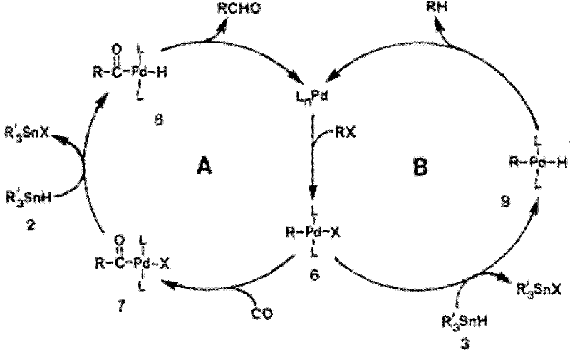 General catalytic cycle for Pd-catalyzed carbonylation showing oxidative addition and CO insertion