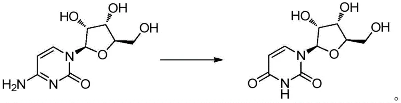 Chemical reaction scheme showing the one-step conversion of cytidine to uridine via diazotization
