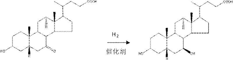 Chemical reaction scheme showing the chiral catalytic hydrogenation of 7-ketodeoxycholic acid to ursodeoxycholic acid using H2 and a catalyst