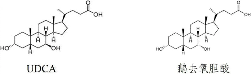 Chemical structures of Ursodeoxycholic Acid (UDCA) and Chenodeoxycholic Acid showing stereochemical differences