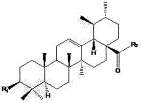 General chemical structure of ursolic acid derivatives with ethylenediamine linker and amino acid conjugation