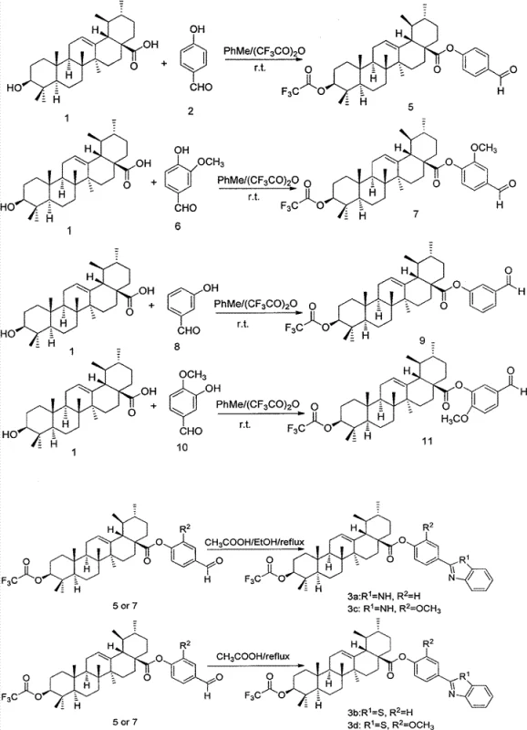 General reaction scheme showing the synthesis pathway from Ursolic Acid to benzimidazole and benzothiazole derivatives